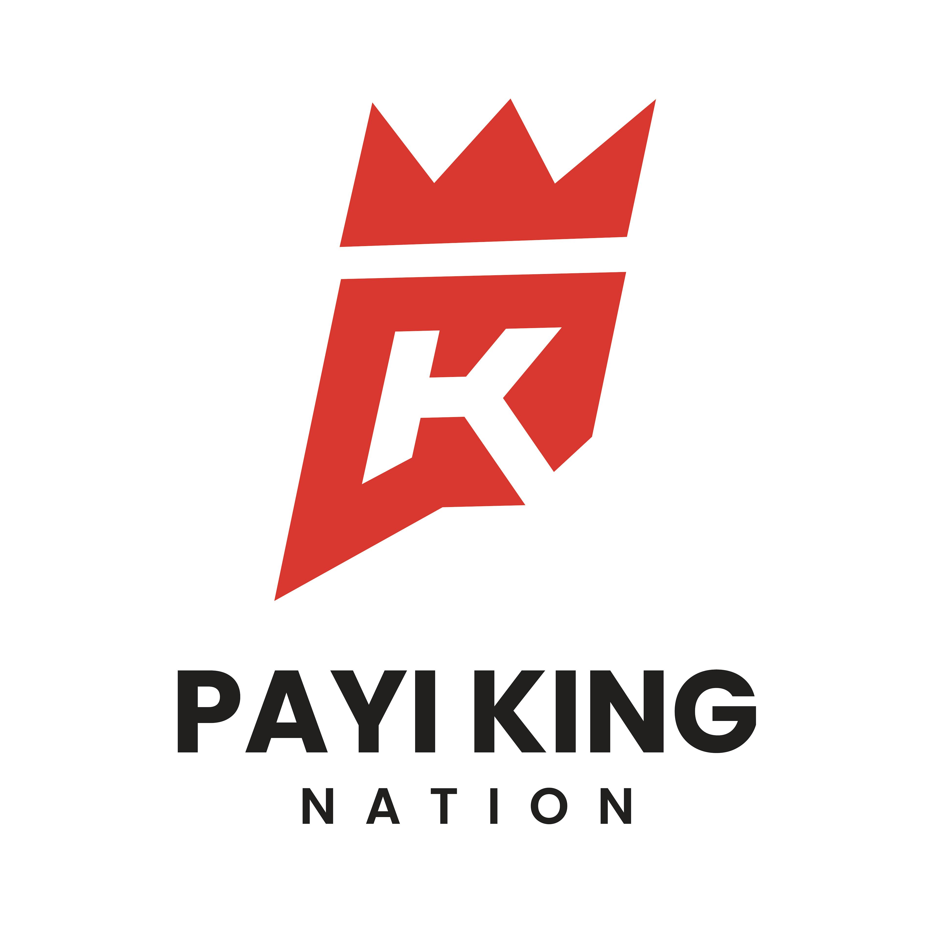 Pay King Nation Brand identity